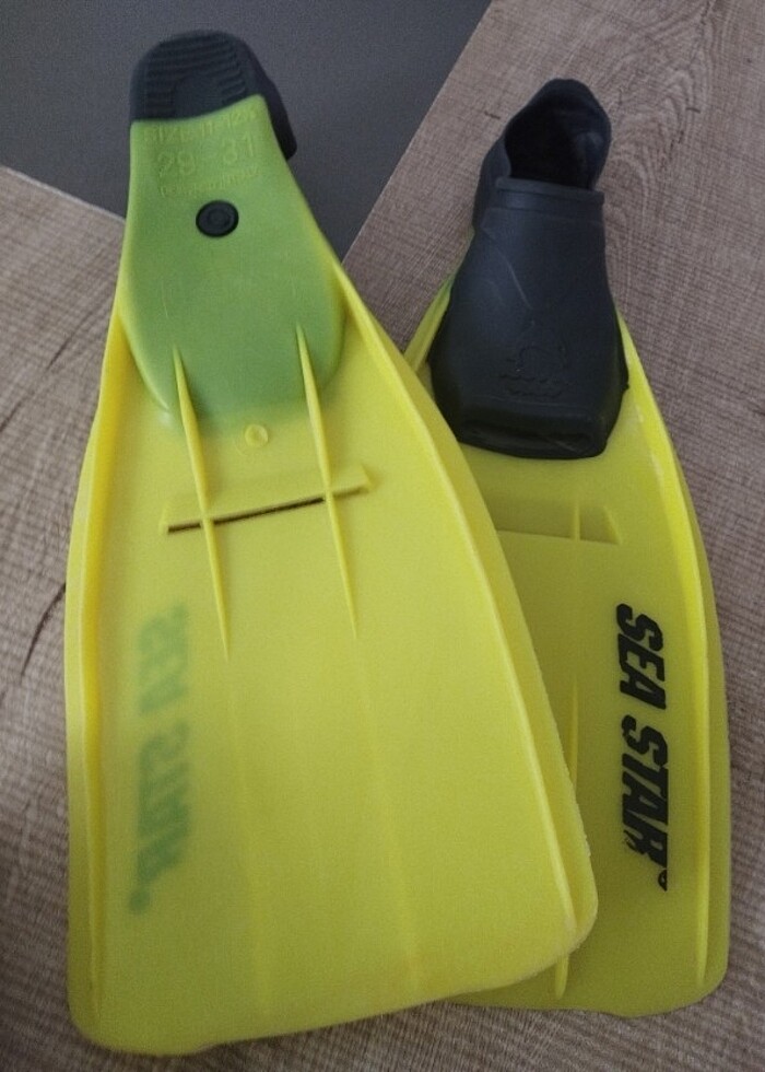 SEA STAR PALET SIFIR ÜRÜN - Görsel 2