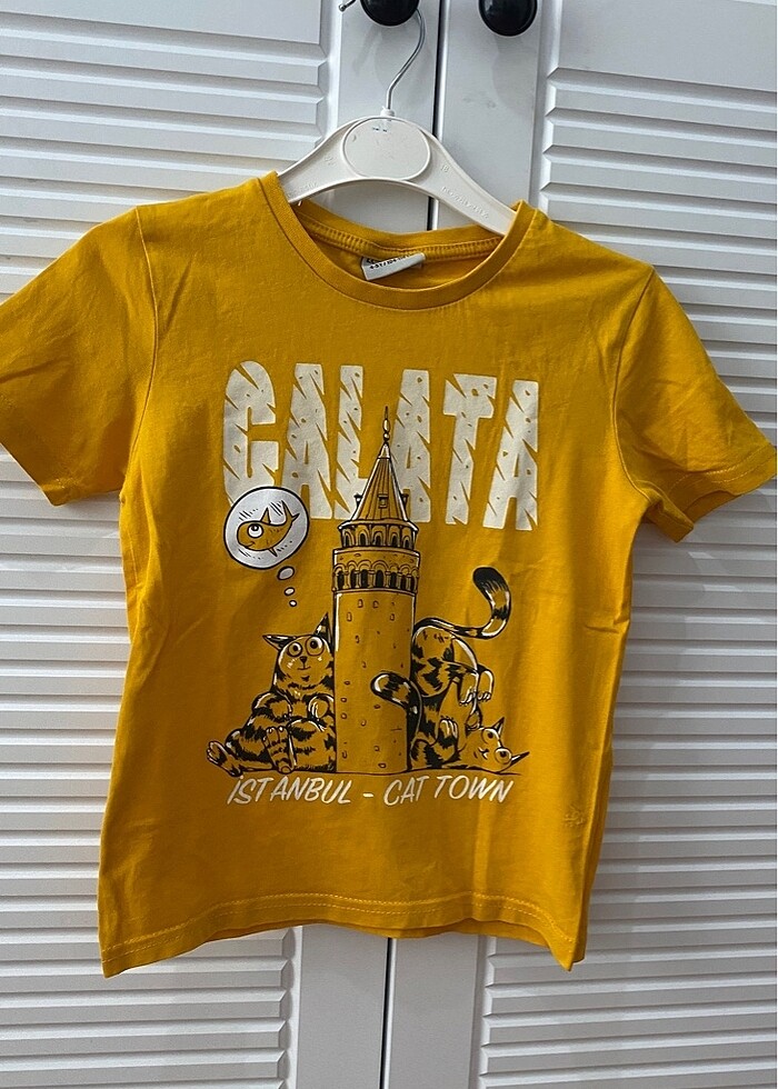 Erkek 4-5 yaş 2 adet T-shirt - Görsel 3