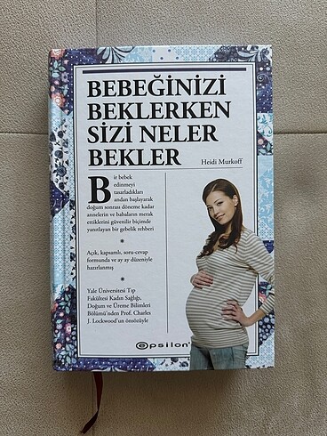 Hamile kitap