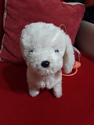 köpek oyuncak