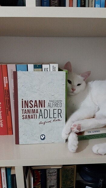  Insanı tanıma sanatı - Alfred Adler