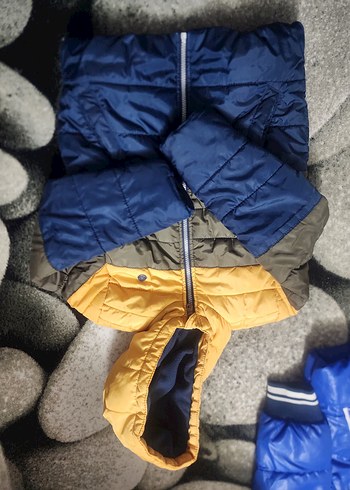 Erkek Çocuk Renk Bloklu Fermuarlı Mont - Görsel 4