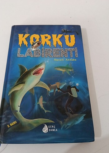 Korku Labirenti - Necati Akbaba