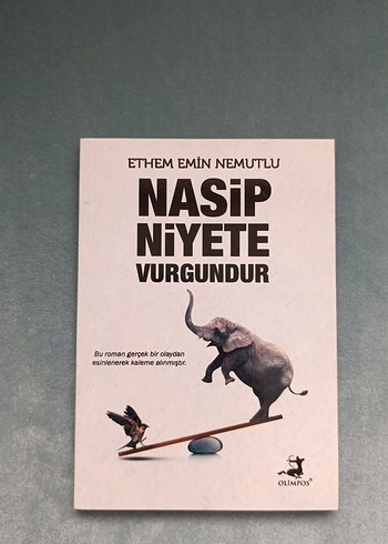 Ethem Emin Nemutlu - Görsel 4