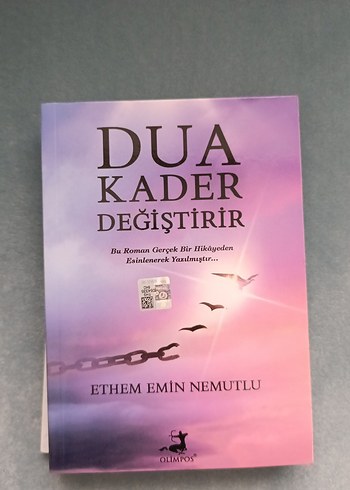 Ethem Emin Nemutlu - Görsel 2