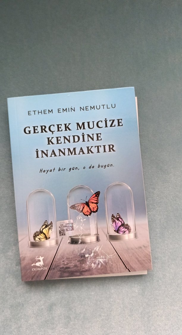 Ethem Emin Nemutlu - Görsel 3