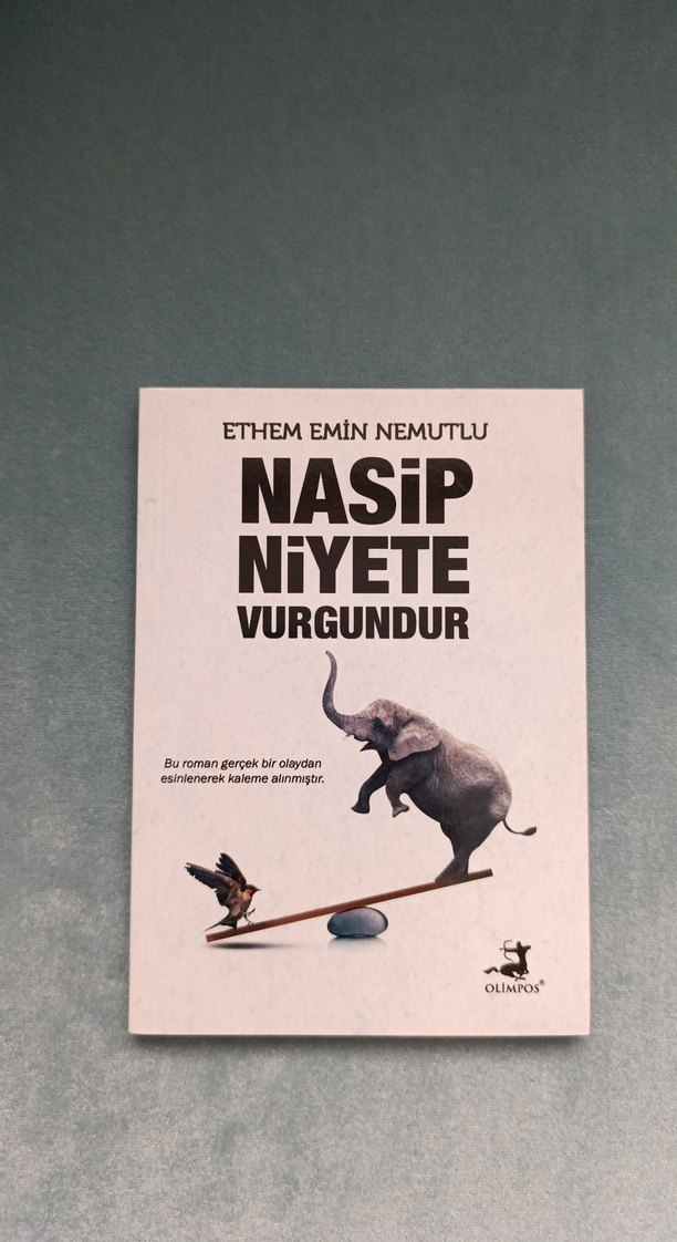 Ethem Emin Nemutlu - Görsel 4