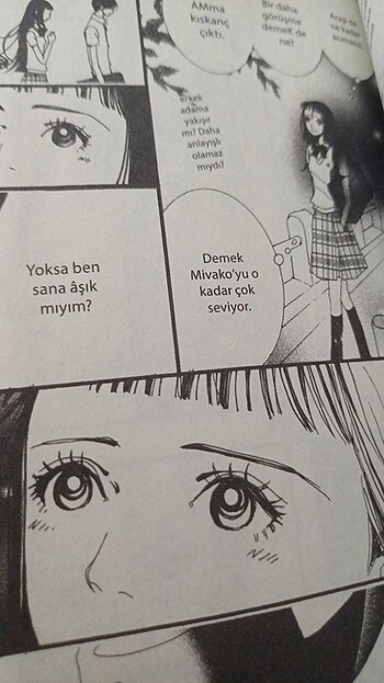  Beden Paradise kiss cilt 1/ Türkçe Manga