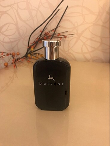 Muscent Roma Kadın Parfüm 50 ml