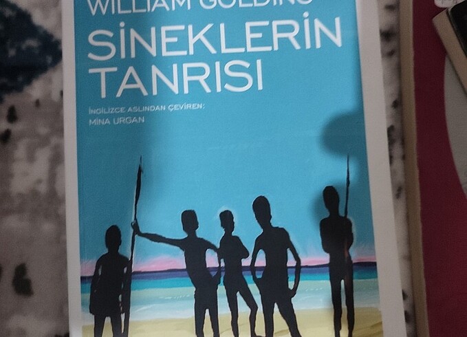 Sineklerin tanrısı