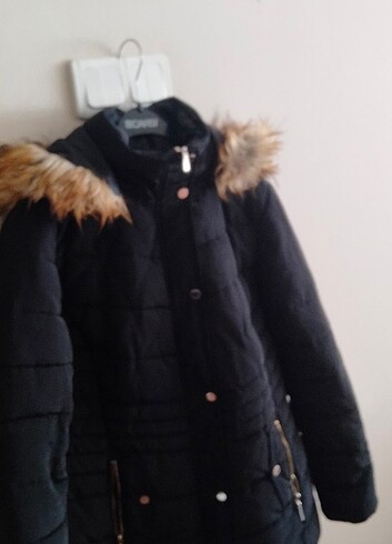 Bayan Kapisonlu kaban - Görsel 4