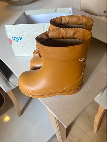 26 Beden Igor caremel bot