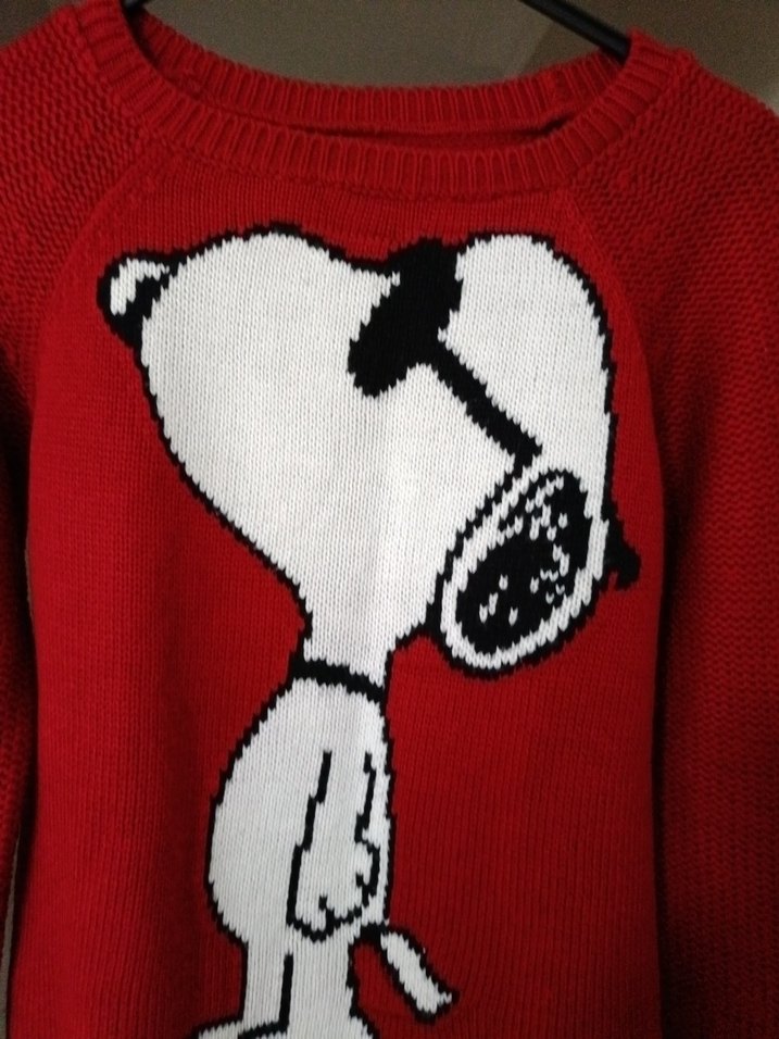 Kırmızı Baskılı Kadın Triko Kazak - Görsel 2