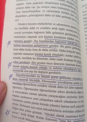 Mutluluk Bilimi - Prof. Dr. Mihaly Csikszentmihalyi - Görsel 3