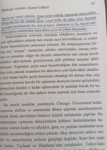 Mutluluk Bilimi - Prof. Dr. Mihaly Csikszentmihalyi - Görsel 4