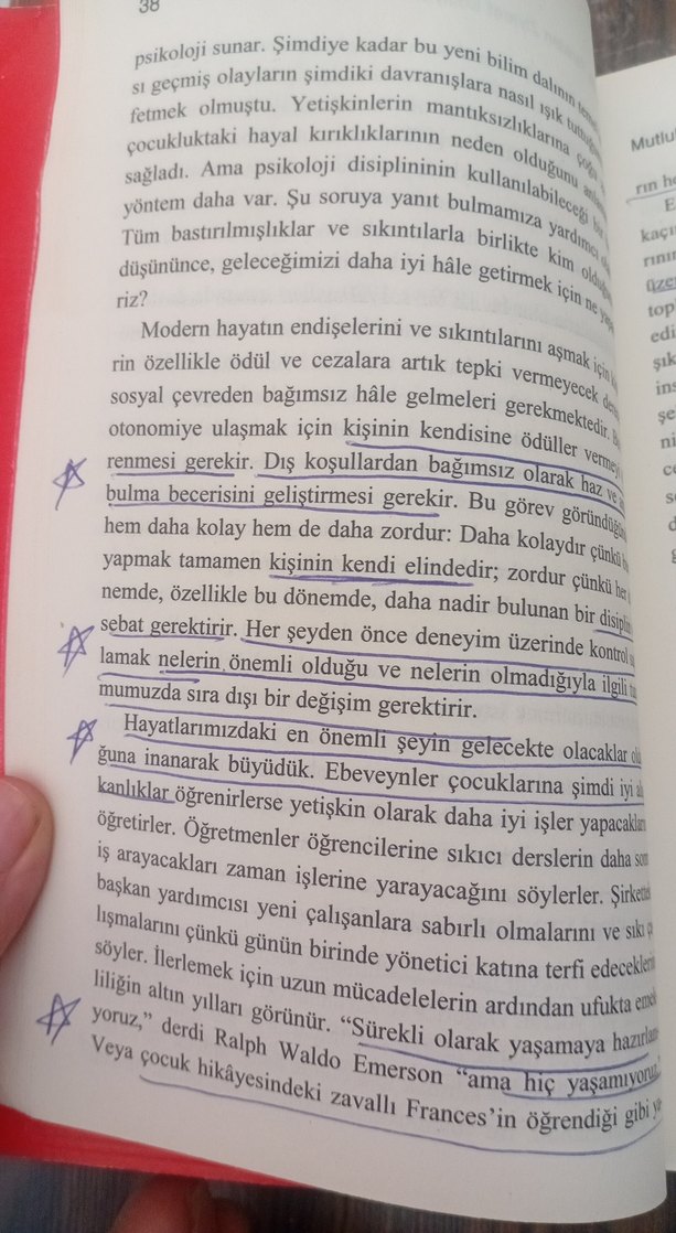 Mutluluk Bilimi - Prof. Dr. Mihaly Csikszentmihalyi - Görsel 3