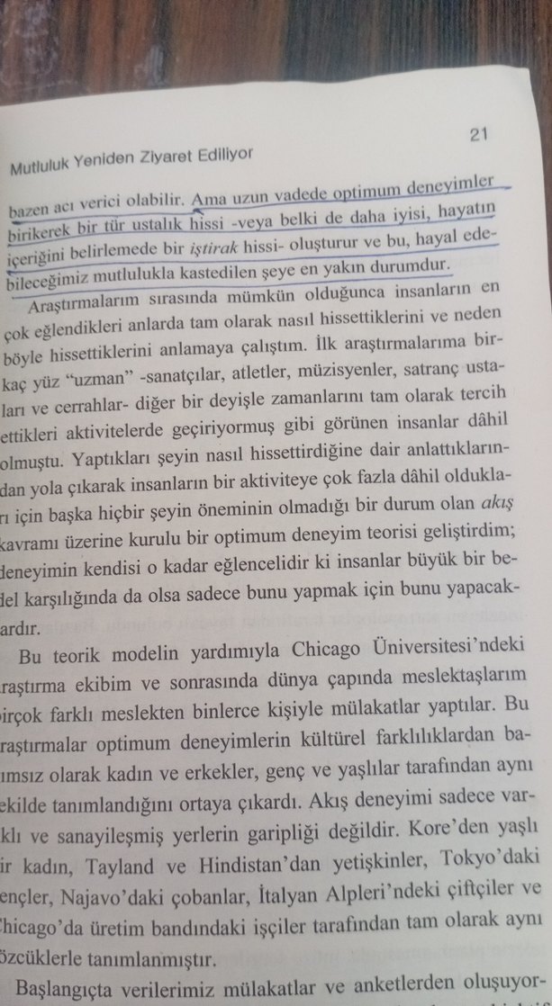 Mutluluk Bilimi - Prof. Dr. Mihaly Csikszentmihalyi - Görsel 4