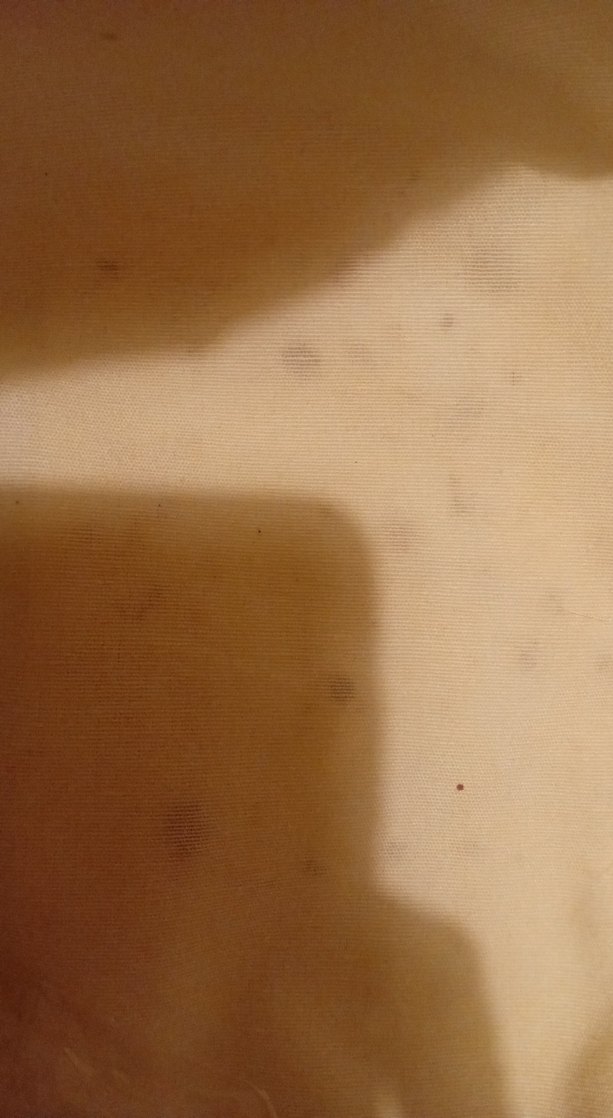 Koton Fahriye Evcen Koleksiyonu Nakışlı Payetli Çanta - Görsel 4