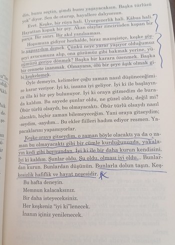 Nil Karabrahimgil - Kelebeğin Hayat Sırları - Görsel 3