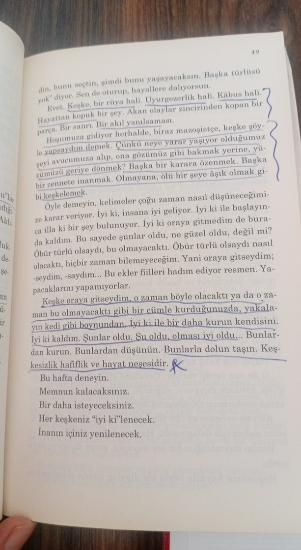 Nil Karabrahimgil - Kelebeğin Hayat Sırları - Görsel 3