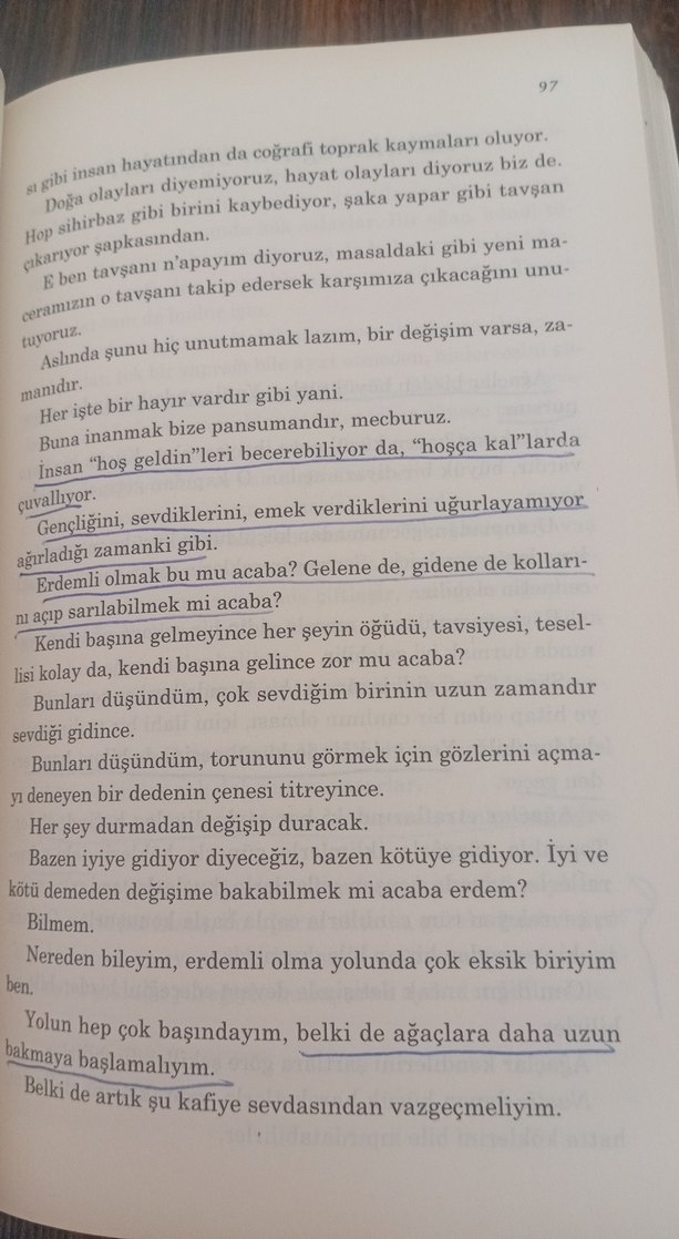 Nil Karabrahimgil - Kelebeğin Hayat Sırları - Görsel 4