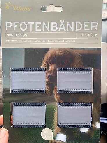 Köpek pati bandı