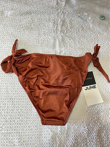 Junkyard June bikini alt
