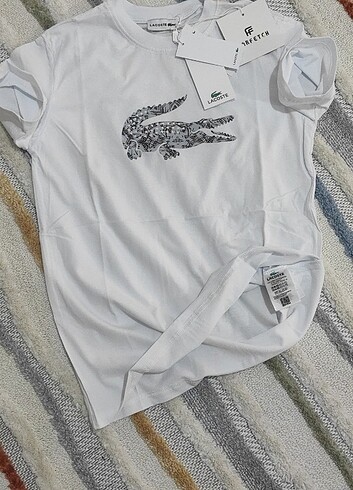 Bisiklet yaka Lacoste t-shirt 