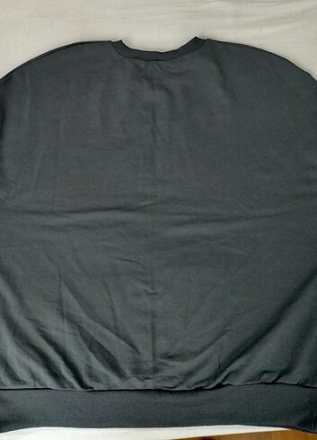 Diğer Sweatshirt