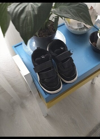 Puma spor