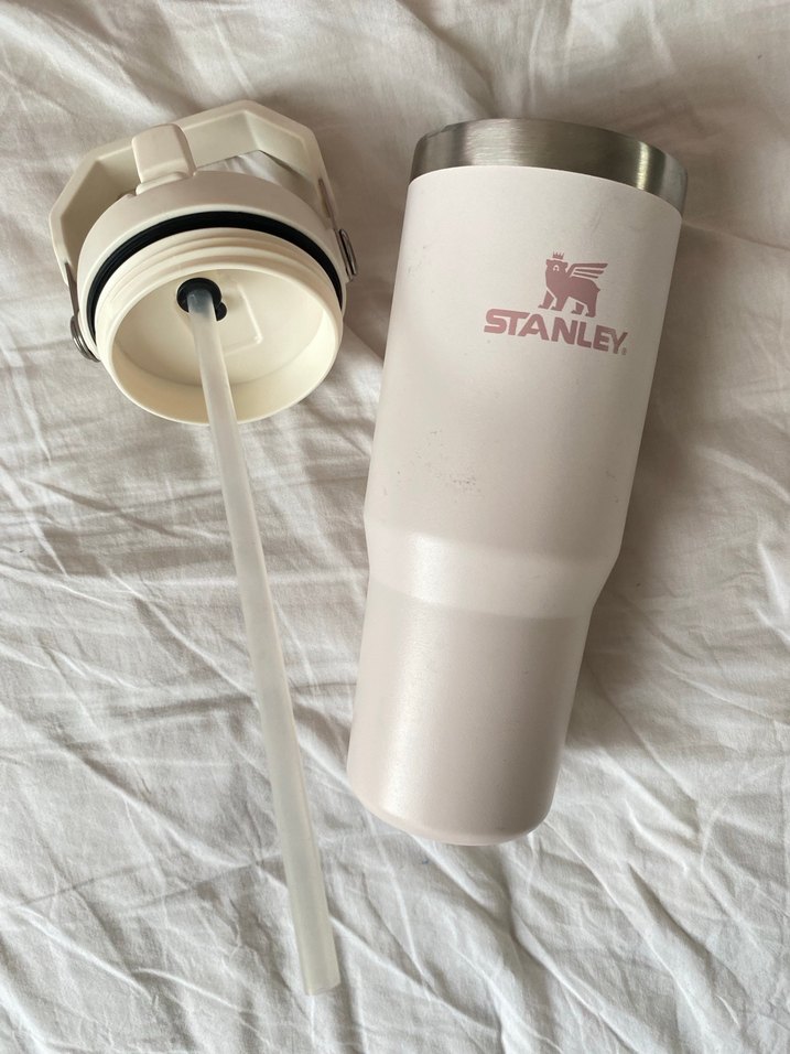 Stanley The Iceflow Flip Straw Pipetli Termos Matara - Görsel 3