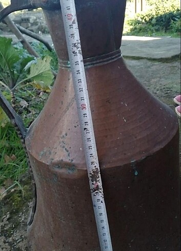  Beden Anyika
