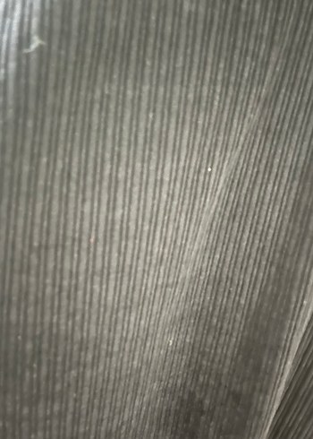 Piliseli Siyah Hamile Kaban - Görsel 2