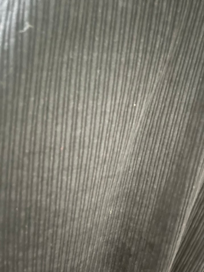 Piliseli Siyah Hamile Kaban - Görsel 2