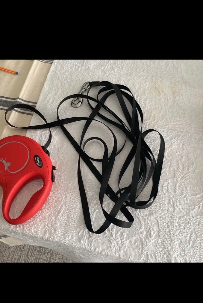 Flexi Large Gezdirme Kayışı - Görsel 3