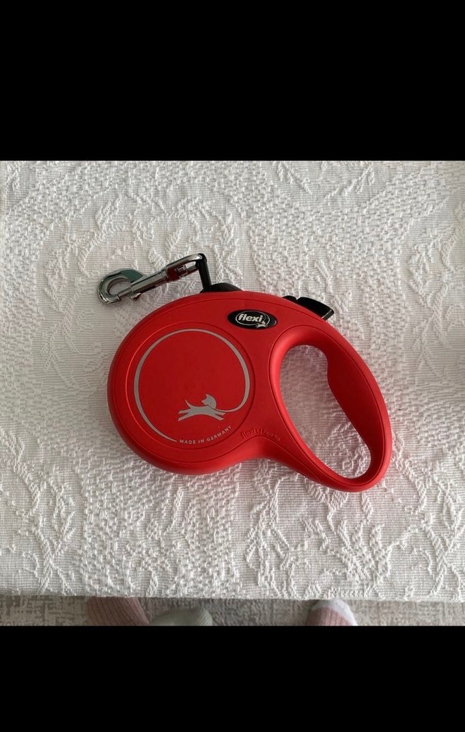 Flexi Large Gezdirme Kayışı - Görsel 2