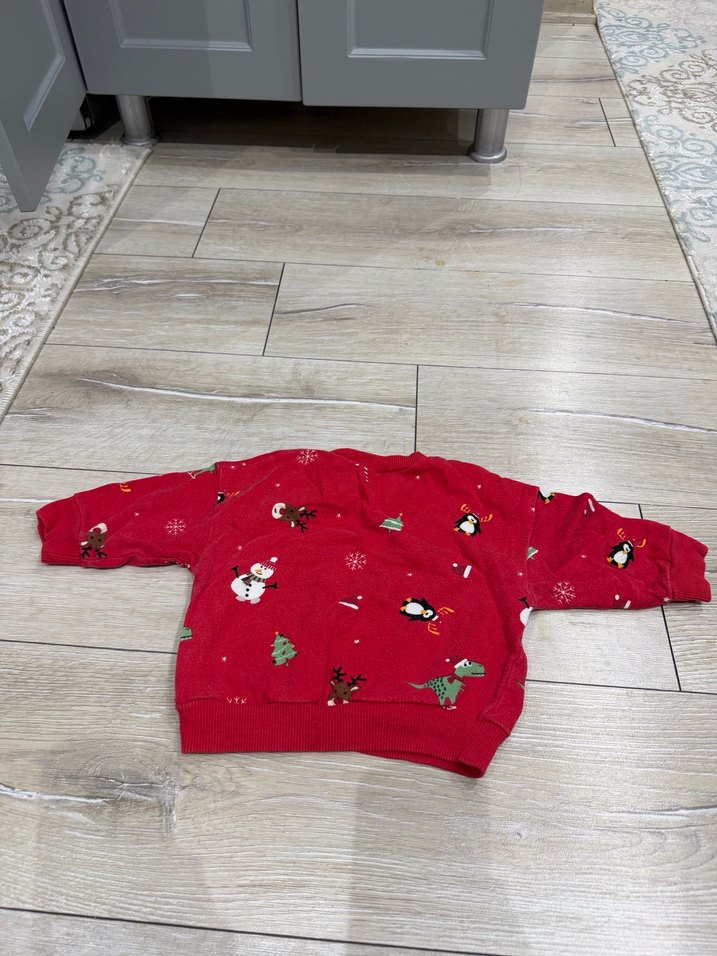 Erkek Çocuk Kırmızı Nakışlı Sweatshirt - Görsel 3