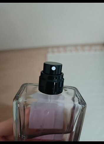  Beden Dolce gabbana limpetatrice parfüm
