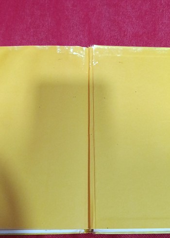 Saftirik Greg'in Günlüğü: İşte Şimdi Yandık! - Görsel 4