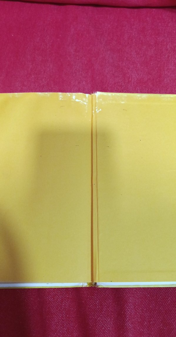 Saftirik Greg'in Günlüğü: İşte Şimdi Yandık! - Görsel 4