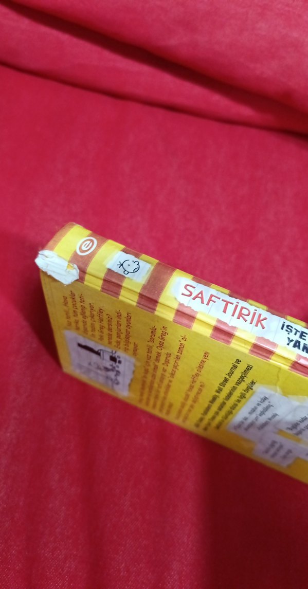 Saftirik Greg'in Günlüğü: İşte Şimdi Yandık! - Görsel 5