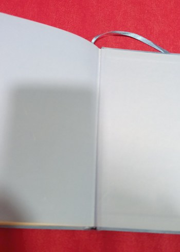 Saftirik Greg'in Günlüğü - Panik Yok! - Görsel 4