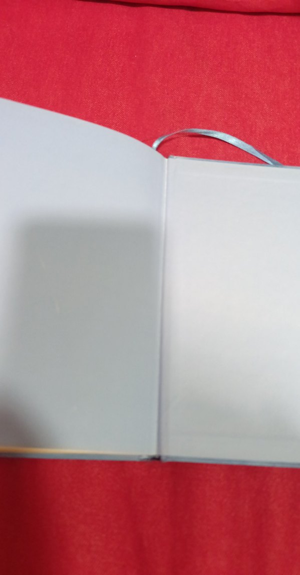 Saftirik Greg'in Günlüğü - Panik Yok! - Görsel 4