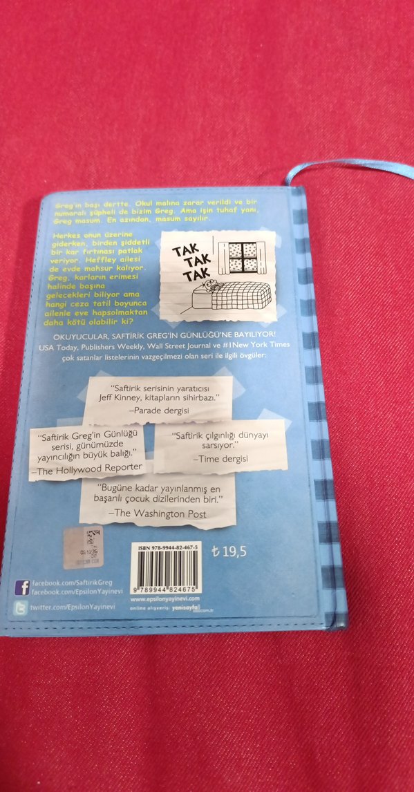 Saftirik Greg'in Günlüğü - Panik Yok! - Görsel 5