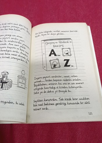 Saftirik Greg'in Günlüğü - Ama Bu Haksızlık! - Görsel 4