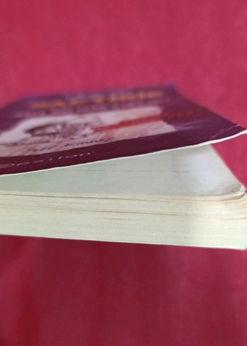 Saftirik Greg'in Günlüğü - Ama Bu Haksızlık! - Görsel 2