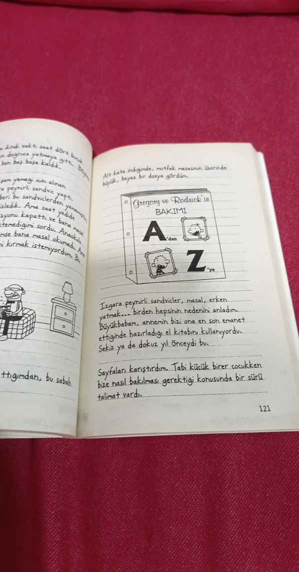 Saftirik Greg'in Günlüğü - Ama Bu Haksızlık! - Görsel 4