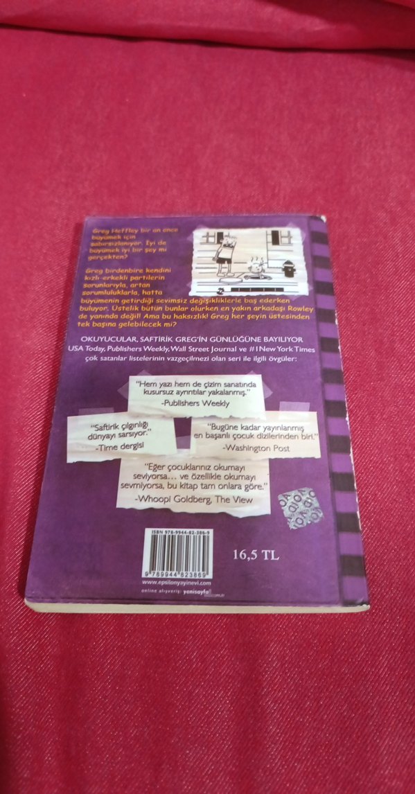 Saftirik Greg'in Günlüğü - Ama Bu Haksızlık! - Görsel 5