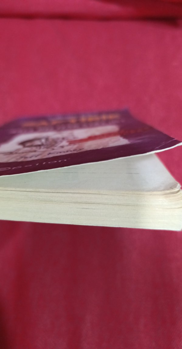 Saftirik Greg'in Günlüğü - Ama Bu Haksızlık! - Görsel 2