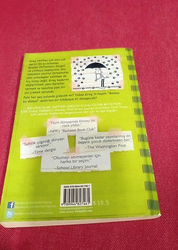 Saftirik Greg'in Günlüğü 8 - Batsın Bu Dünya! - Görsel 4